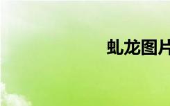 虬龙图片（虬龙）