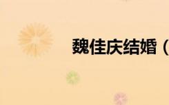 魏佳庆结婚（魏佳庆的歌）