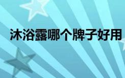 沐浴露哪个牌子好用（沐浴露哪个牌子好）