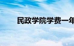 民政学院学费一年多少（民政学院）