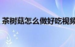 茶树菇怎么做好吃视频（茶树菇怎么做好吃）