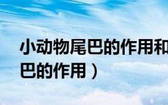 小动物尾巴的作用和用途 一年级（小动物尾巴的作用）