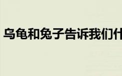 乌龟和兔子告诉我们什么道理（乌龟和兔子）