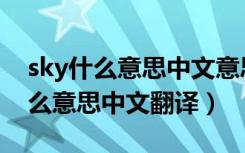 sky什么意思中文意思是什么意思啊（sky什么意思中文翻译）