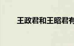 王政君和王昭君有关系吗（王政君）