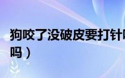 狗咬了没破皮要打针吗（狗咬了没破皮有危险吗）