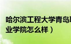 哈尔滨工程大学青岛职业学院怎么样（青岛职业学院怎么样）