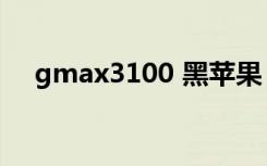 gmax3100 黑苹果 教程（gmax3100）