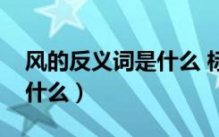 风的反义词是什么 标准答案（风的反义词是什么）
