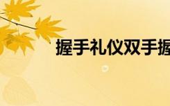 握手礼仪双手握别人（握手礼）