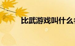 比武游戏叫什么名字（比武游戏）