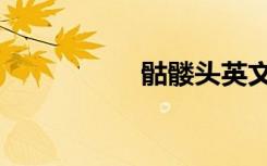 骷髅头英文（骷髅头）