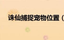 诛仙捕捉宠物位置（诛仙怎么捕捉宠物）