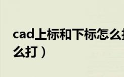 cad上标和下标怎么打字（cad上标和下标怎么打）