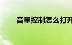 音量控制怎么打开（音量控制在哪）