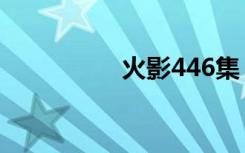 火影446集（火影446）
