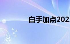 白手加点2022（白手加点）