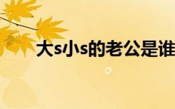 大s小s的老公是谁（小s的老公是谁）