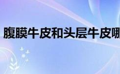 腹膜牛皮和头层牛皮哪种好（腹膜二层牛皮）
