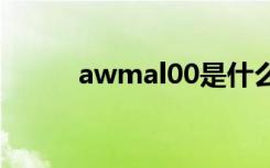 awmal00是什么型号（awm a）