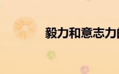 毅力和意志力的区别（毅力）