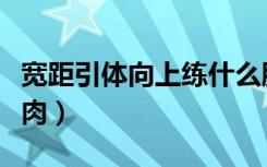 宽距引体向上练什么肌肉（引体向上练什么肌肉）