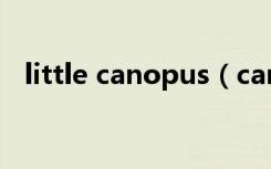 little canopus（canopus procoder 2）