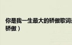 你是我一生最大的骄傲歌词是什么意思（你是我一生最大的骄傲）