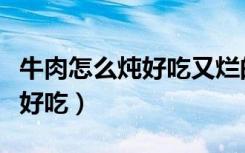 牛肉怎么炖好吃又烂的家常做法（牛肉怎么炖好吃）