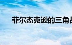 菲尔杰克逊的三角战术（菲尔 杰克逊）
