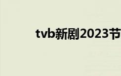 tvb新剧2023节目表（tvb新片）