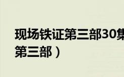 现场铁证第三部30集全剧情介绍（现场铁证第三部）