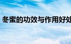 冬蜜的功效与作用好处（冬蜜的功效与作用）