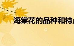 海棠花的品种和特点（海棠花的品种）