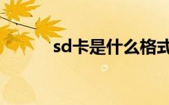 sd卡是什么格式（sd卡是什么）
