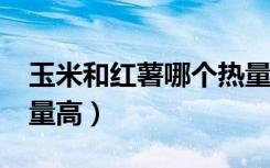玉米和红薯哪个热量高?（玉米和红薯哪个热量高）