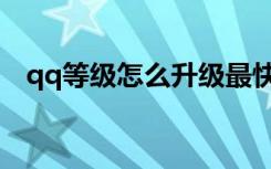 qq等级怎么升级最快（qq花藤怎么升级）