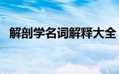 解剖学名词解释大全（上呼吸道名词解释）