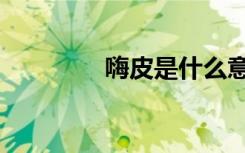 嗨皮是什么意思呀（嗨皮）