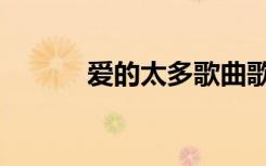 爱的太多歌曲歌词（爱的太多）