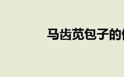 马齿苋包子的做法（马齿觅）