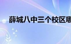 薛城八中三个校区哪个最好（薛城八中）