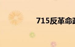 715反革命政变（7 15）