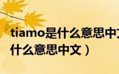 tiamo是什么意思中文翻译怎么读（tiamo是什么意思中文）