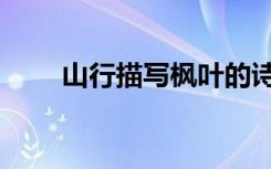 山行描写枫叶的诗句（枫叶的诗句）