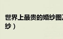 世界上最贵的婚纱图及价格（世界上最贵的婚纱）