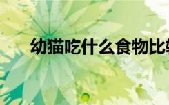 幼猫吃什么食物比较好（幼猫吃什么）