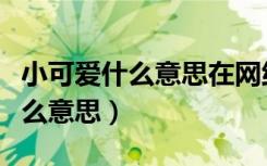 小可爱什么意思在网络上什么意思（小可爱什么意思）