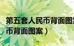 第五套人民币背面图案是什么花（第五套人民币背面图案）