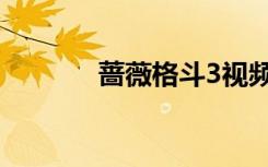 蔷薇格斗3视频（蔷薇格斗3）